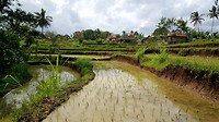 20190809_150453