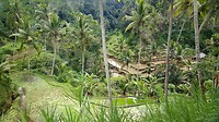 20190810_134940