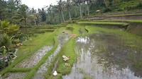 20190810_141621
