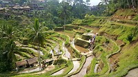 20190810_162737