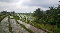 20190811_135257