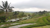 20190811_171249