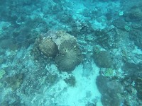 GOPR4714