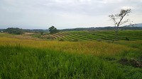 20190906_171527