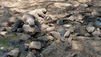 IMG_20190909_115553549_HDR