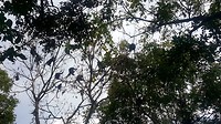 20190919_154601