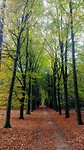 IMG_20191106_135058568