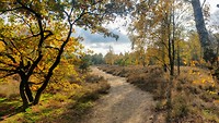 IMG_20191106_132806358_HDR