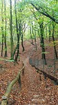 IMG_20191106_114139433