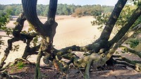 IMG_20191014_152325615_HDR