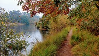 IMG_20191020_134149208_HDR