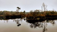 IMG_20191020_124237257_HDR