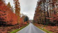 IMG_20191119_120737090_HDR