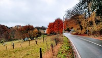 IMG_20191119_120210870_HDR