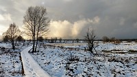 IMG_20191119_151957162_HDR