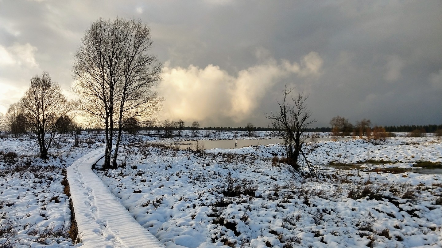 IMG_20191119_151957162_HDR