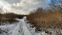 IMG_20191119_145655901_HDR