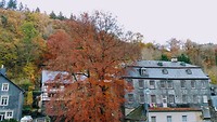 IMG_20191119_132458425_HDR
