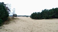 MVIMG_20191216_124415063