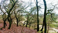 MVIMG_20191216_115234689