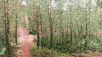 MVIMG_20191216_135317600