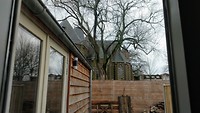 MVIMG_20200109_134239013