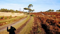 MVIMG_20200116_120421076
