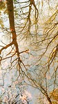 MVIMG_20200116_103803386