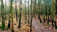 MVIMG_20200116_101544179