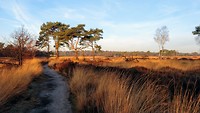 MVIMG_20200116_091925812