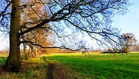 MVIMG_20200113_115054676