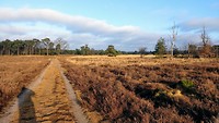 MVIMG_20200113_102334122