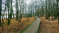 IMG_20200124_141127912