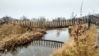 IMG_20200124_123614967_HDR