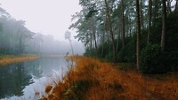 MVIMG_20200121_102345937