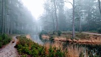 MVIMG_20200121_102239027