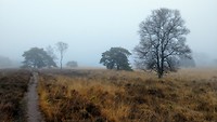 MVIMG_20200121_090156526