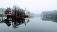 MVIMG_20200120_121719903
