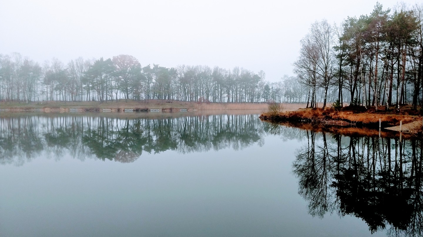 MVIMG_20200120_121415296