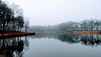MVIMG_20200120_120823773