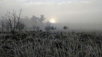 MVIMG_20200120_092615411