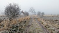 MVIMG_20200120_092321613