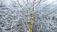 MVIMG_20200120_092937697