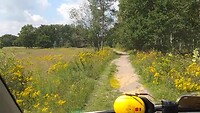 VID_20200718_134208726