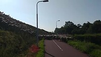 VID_20200718_090805094