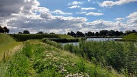IMG_20200729_103927917_HDR