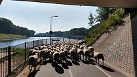 IMG_20200718_094902638_HDR