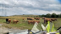 IMG_20200701_154308415_HDR