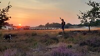 20200811_064828
