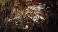 IMG-20230623-WA0001